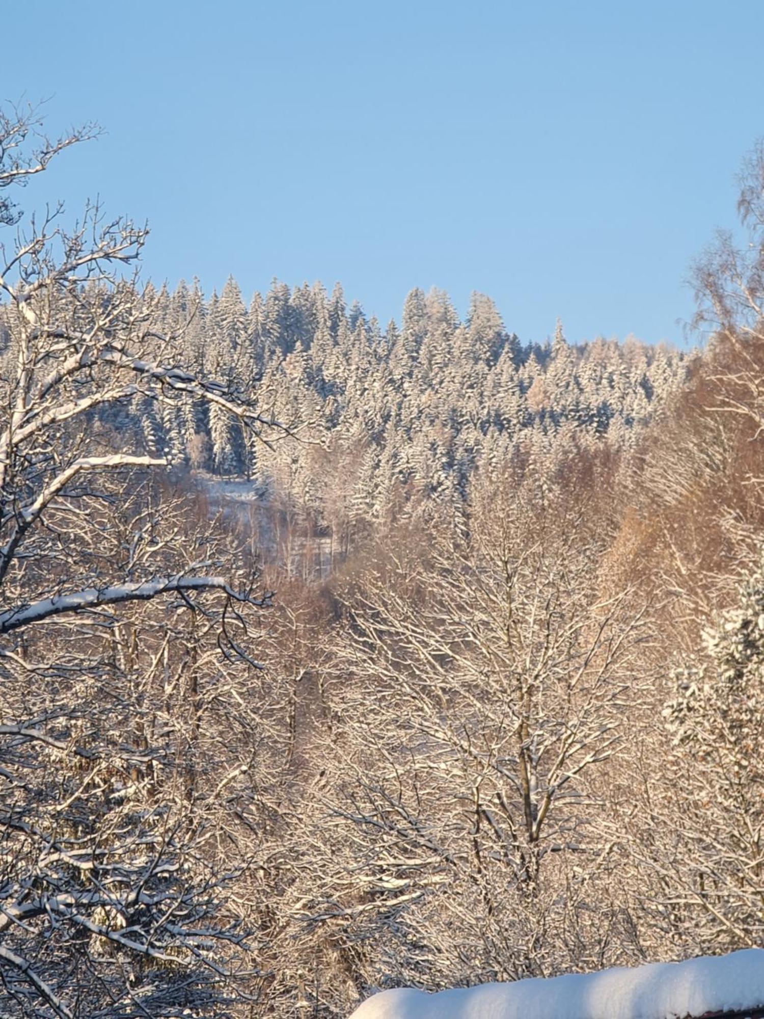 Sieraton Pokoje i Apartament Stronie Śląskie Exteriér fotografie
