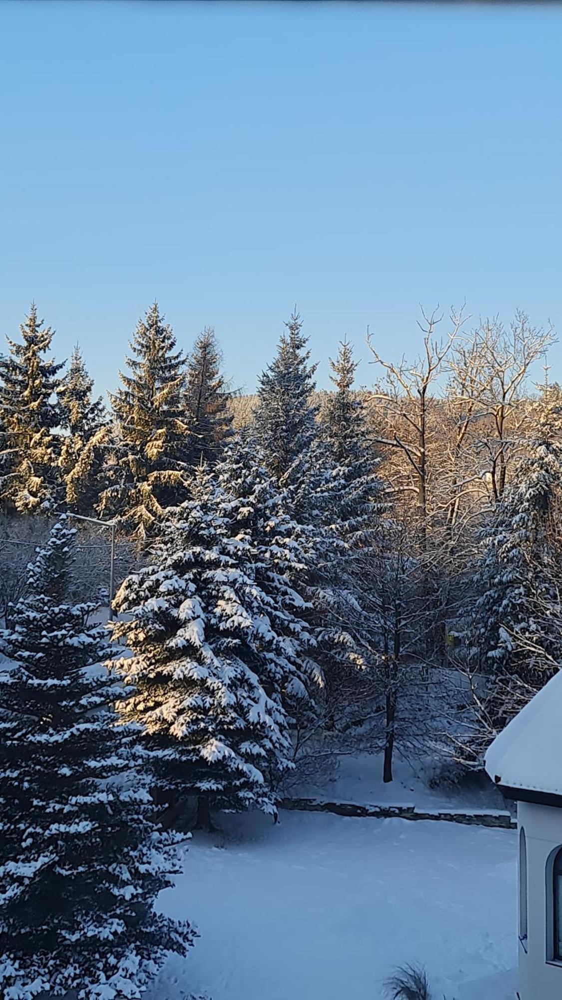 Sieraton Pokoje i Apartament Stronie Śląskie Exteriér fotografie
