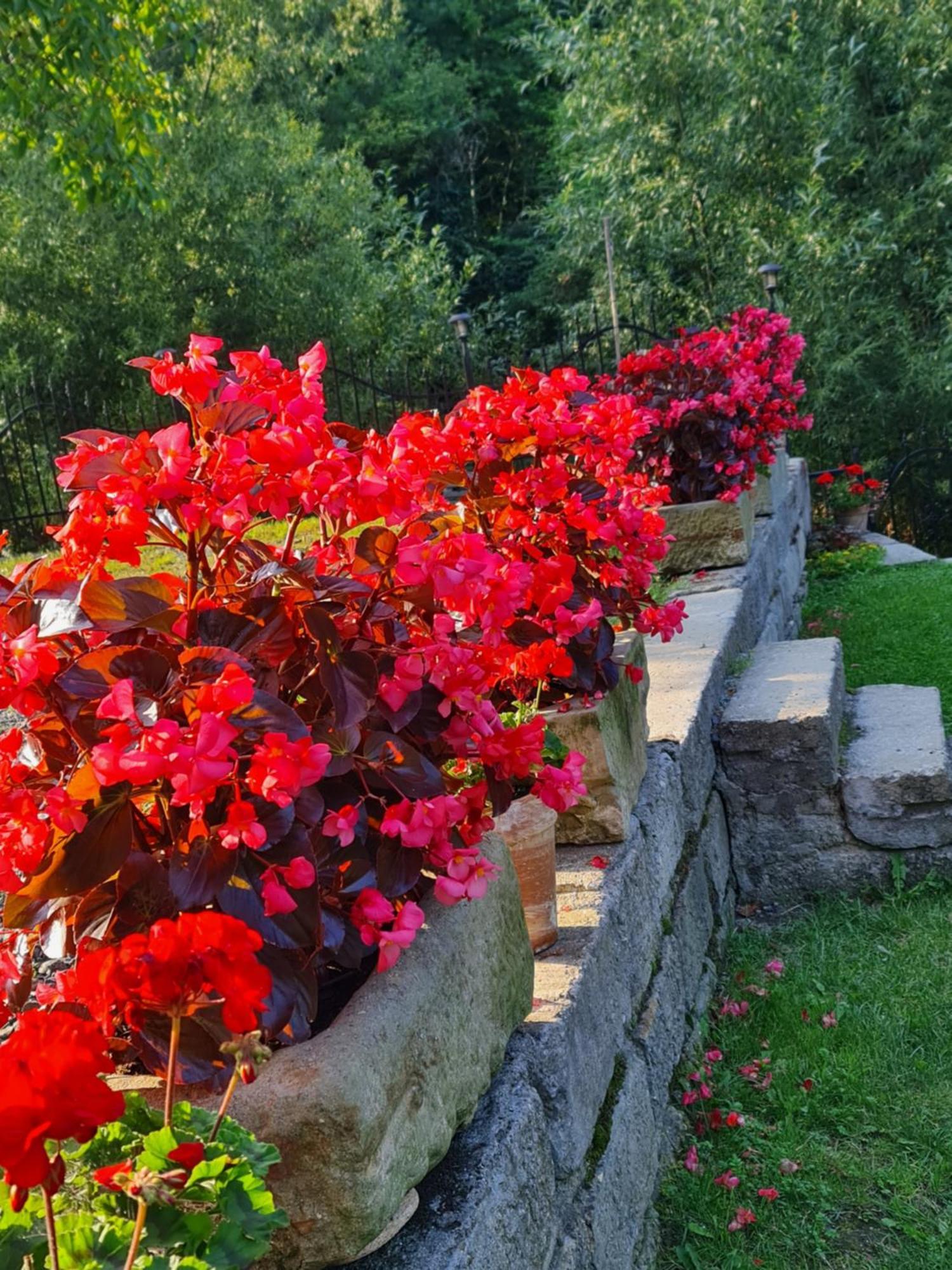 Sieraton Pokoje i Apartament Stronie Śląskie Exteriér fotografie